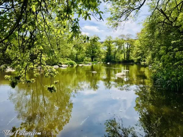 Photo La Sèvre Nantaise : Belle balade le long de la Sèvre Nantaise au parc de la Barbinière. 
On aperçoit le Viaduc de Barbin dans le fond..c, Parc de la Barbinière, St-Laurent-sur-Sèvres, Sèvre Nantaise, Viaduc de Barbin