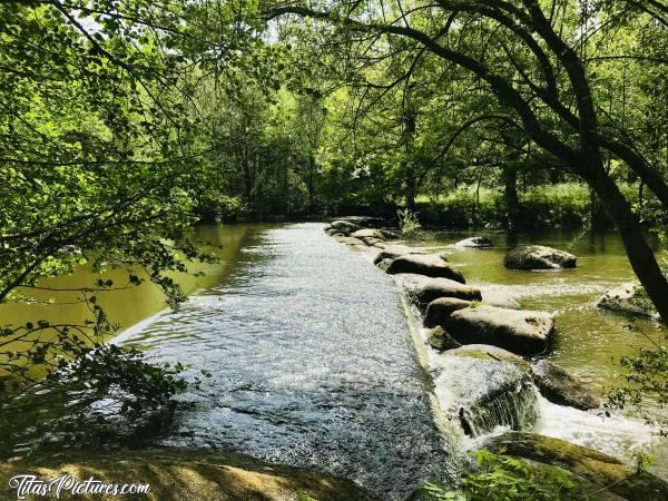 Photo La Sèvre Nantaise : Belle balade le long de la Sèvre Nantaise au parc de la Barbinière. 
J’adore cette chute d’eau 😍🥰 Mais pas beaucoup d’eau ce jour-là de début juin 😥c, Parc de la Barbinière, St-Laurent-sur-Sèvres, Sèvre Nantaise