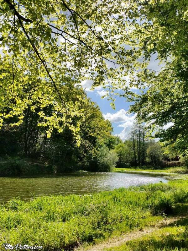 Photo Balade Printanière : Belle balade printanière dans les environs de La Roche-sur-Yon. 
Photo prise par une amie et retouchée par moi-même.c, Vendée, Lac, Bois, chemin de randonnée