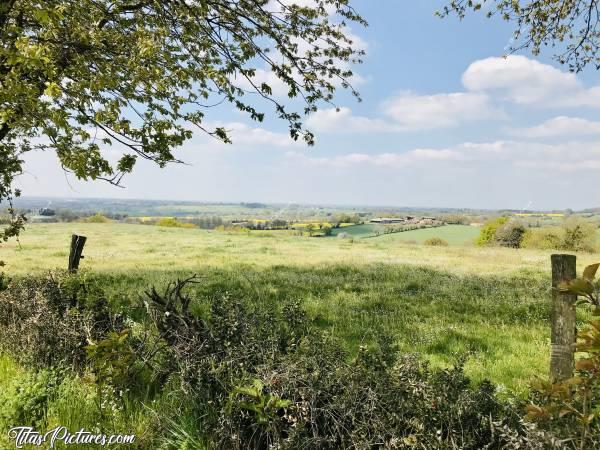 Photo Campagne Vendéenne : Belle vue sur la campagne vendéenne, avec des champs de colza dans le fond..c, Campagne vendéenne, champs d’herbes, colza