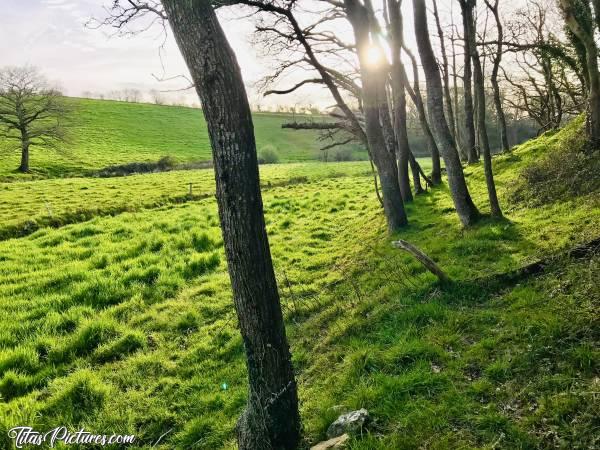 Photo Prairie : Petite balade bien agréable en fin de journée de début Printemps, dans les prairies de mon enfance.. 😍🥰c, Prairie, bois, rivière, coucher de soleil