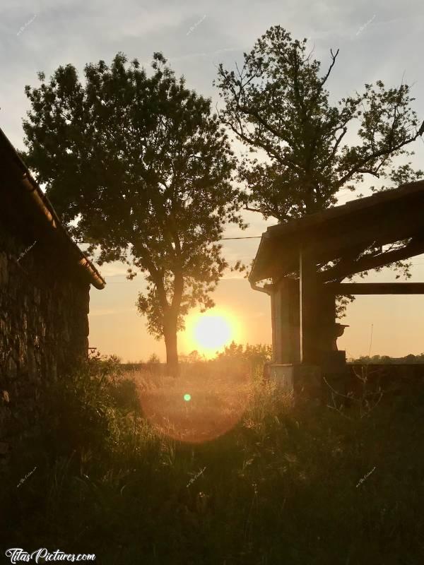 Photo Coucher de soleil : Joli Coucher de soleil dans le jardin de mes voisins. J’adore 😍🥰c, Coucher de soleil, Vendée, Terrasse couverture