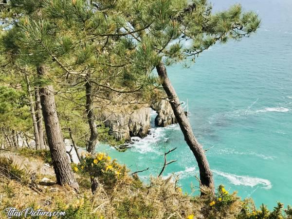 Photo Plage de l’Île Vierge : Plage de l’Île Vierge sur la presqu’île de Crozon. Très bel endroit qui se mérite. Pour y accéder, il faut marcher une bonne 1/2H sur des chemins bien escarpés par endroits et avec des dénivelés très importants 😅 Mais ça en vaut vraiment la peine 😍😎c, Plage de l’Île Vierge, Crozon, Finistère, Pins, Falaises, mer turquoise