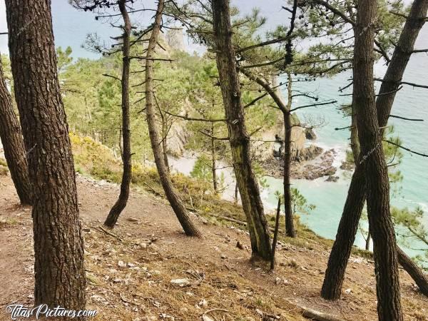 Photo Plage de l’Île Vierge : Plage de l’Île Vierge sur la presqu’île de Crozon. Très bel endroit qui se mérite. Pour y accéder, il faut marcher une bonne 1/2h sur des chemins bien escarpés par endroits et avec des dénivelés très importants 😅 Mais ça en vaut vraiment la peine 😍😎c, Plage de l’Île Vierge, Crozon, Finistère, Pins, Falaises, mer turquoise