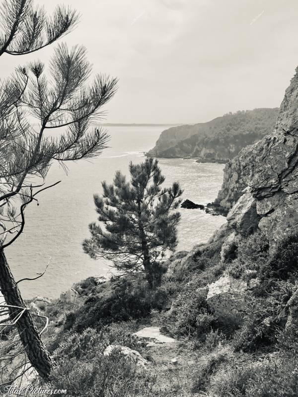 Photo Crozon : Belle randonnée à la Presqu’île de Crozon. Malheureusement, le soleil s’est un peu voilé. Les couleurs n’étaient donc pas aussi belles que je souhaitais, mais ça rend pas mal en Noir et Blanc je trouve..😍🥰c, Crozon, Finistère, Pins, Falaises, Noir et Blanc