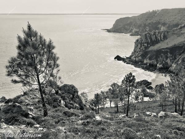 Photo Crozon : Belle randonnée à la Presqu’île de Crozon. Malheureusement, le soleil s’est un peu voilé. Les couleurs n’étaient donc pas aussi belles que je souhaitais, mais ça rend pas mal en Noir et Blanc je trouve..😍🥰c, Crozon, Finistère, Pins, Falaises, Noir et Blanc