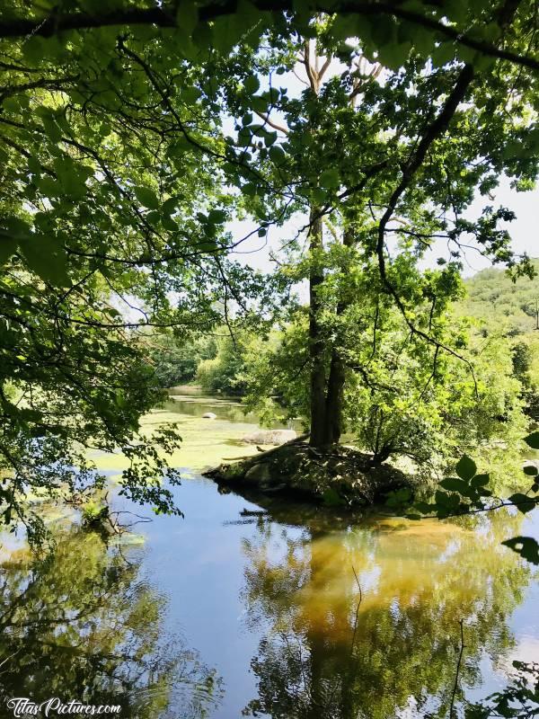 Photo La Sèvre Nantaise : Belle randonnée paisible en bord de Sèvre, à St Laurent sur Sèvre. L’eau était si transparente qu’on pouvait voir tous les poissons 😍 Du moins grâce à mes verres polarisés 😅🥰Malheureusement, en photo, ça rend pas pareil 😕😢c, La Sèvre Nantaise, îlot, arbres