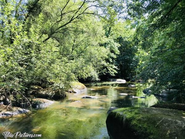 Photo La Sèvre Nantaise : Belle randonnée paisible en bord de Sèvre, à St Laurent sur Sèvre. L’eau était si transparente qu’on pouvait voir tous les poissons 😍c, La Sèvre Nantaise, rochers, herbes aquatiques