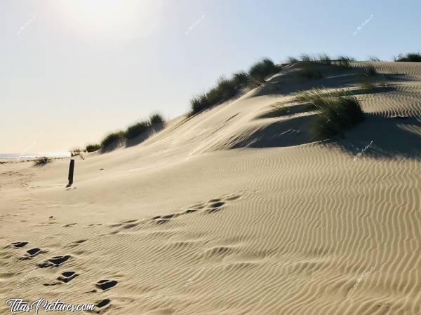 Photo La Plage du Veillon : La Dune de la Plage du Veillon à Talmont St Hilaire. Cette photo a un peu plus d’un an déjà. La dune a encore diminué de moitié 😥😭
Ils ont mis des protections maintenant pour la rendre inaccessible. Je suis pas convaincue que ça fasse quelque chose 😕 J’ai bien peur qu’elle soit condamnée à disparaître d’ici quelques années seulement 😰😭c, La Plage du Veillon, Dune