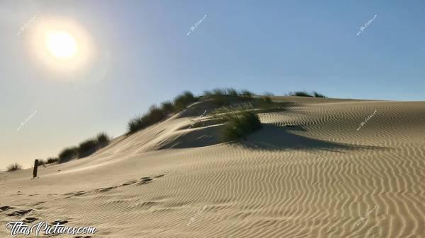 Photo La Plage du Veillon : La Dune de la Plage du Veillon à Talmont St Hilaire. Cette photo a un peu plus d’un an déjà. La dune a encore diminué de moitié 😥😭
Ils ont mis des protections maintenant pour la rendre inaccessible. Je suis pas convaincue que ça fasse quelque chose 😕 J’ai bien peur qu’elle soit condamnée à disparaître d’ici quelques années seulement 😰😭c, La Plage du Veillon, Dune