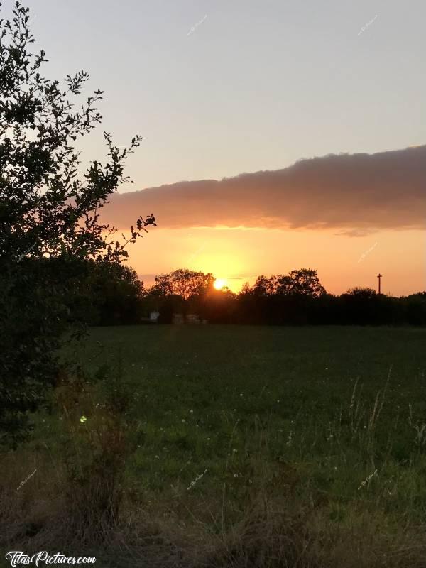 Photo Coucher de soleil : Coucher de soleil sur la campagne du Boupère 😍😎c, Coucher de soleil, Fruitier, champ d’herbe, le Boupère