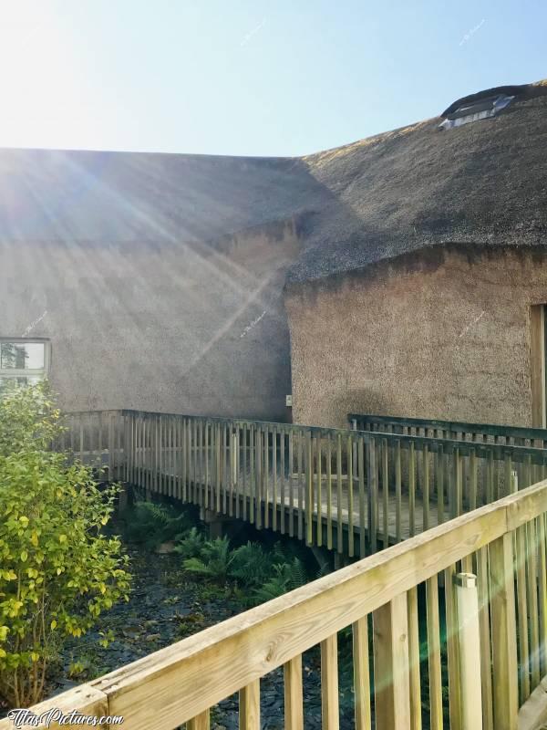 Photo Bois de chaume : Bâtiment entièrement recouvert de bois de chaume. Je ne savais même pas que ça existait et encore moins en Vendée 😧😅😍c, Bois de chaume, La Roche-sur-Yon