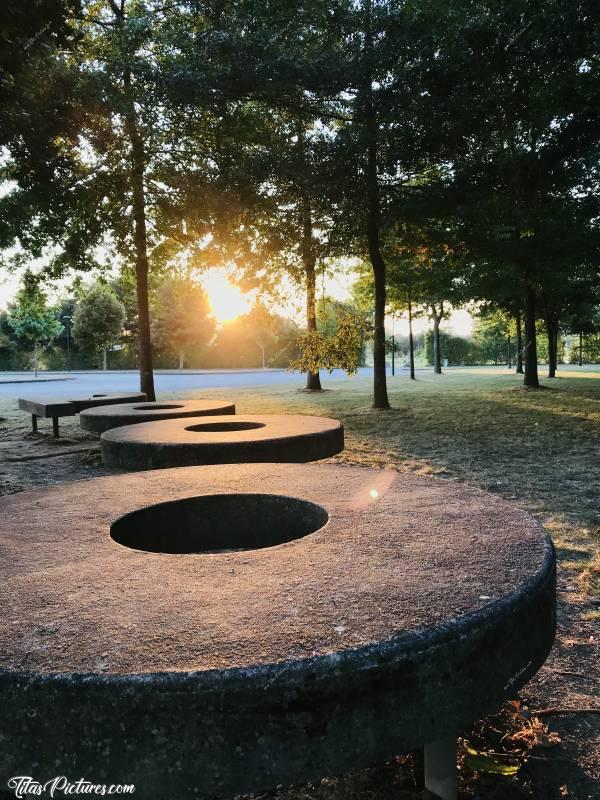 Photo Le Boupère : Coucher de soleil dans le petit parc de la Salle du Bocage au Boupère.c, Le Boupère, Salle du Bocage, Bancs, Parc, Coucher de Soleil, Arbres, Jeu d’ombres