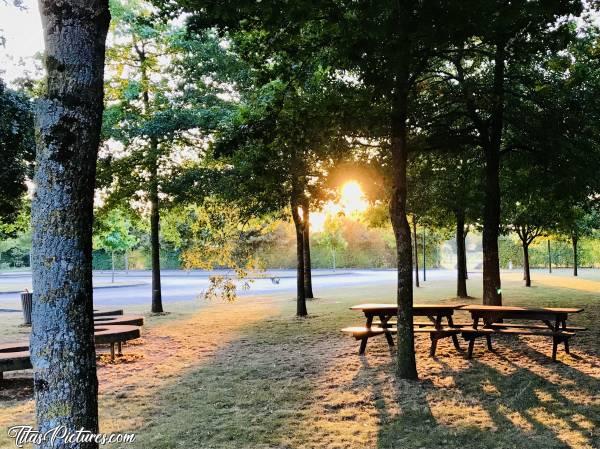 Photo Le Boupère : Coucher de soleil dans le petit parc de la Salle du Bocage au Boupère.c, Le Boupère, Salle du Bocage, Bancs, Parc, Coucher de Soleil, Arbres, Jeu d’ombres