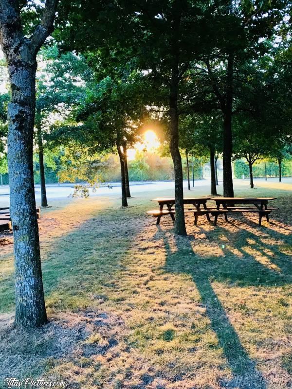 Photo Le Boupère : Coucher de soleil dans le petit parc de la Salle du Bocage au Boupère.c, Le Boupère, Salle du Bocage, Bancs, Parc, Coucher de Soleil, Arbres, Jeu d’ombres