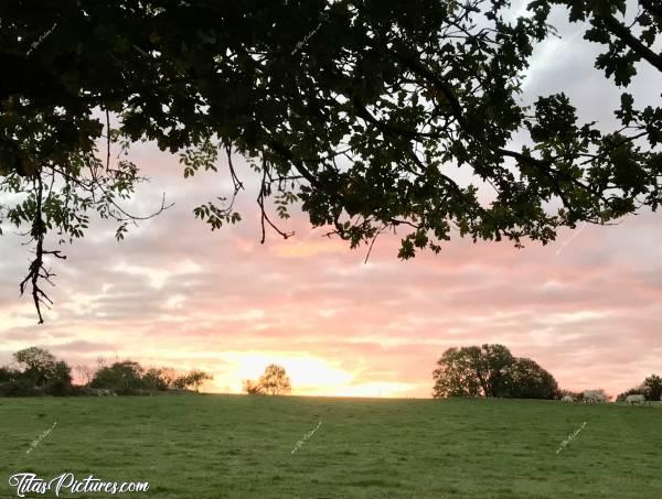 Photo Lever du jour : Lever du jour sur la Campagne du Boupère. De belles couleurs dans les nuages ce matin-là 👍🏻😍c, Lever du jour, Le Boupère, campagne, champ d’herbes