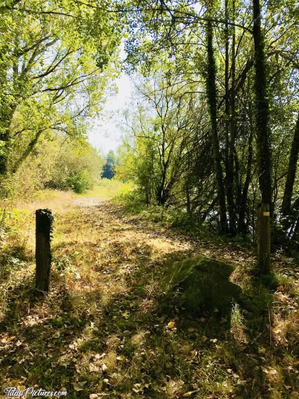 Photo Zone de Loisirs des Brosses : Bel endroit pour les fans de pêche, les randonneurs en quête de Lac où les personnes cherchant un bel endroit pour pique-niquer. 
La Zone de Loisirs des Brosses se trouve à la Merlatière sur la route de la Ferrière.c, Zone de Loisirs des Brosses, La Merlatière, Bois