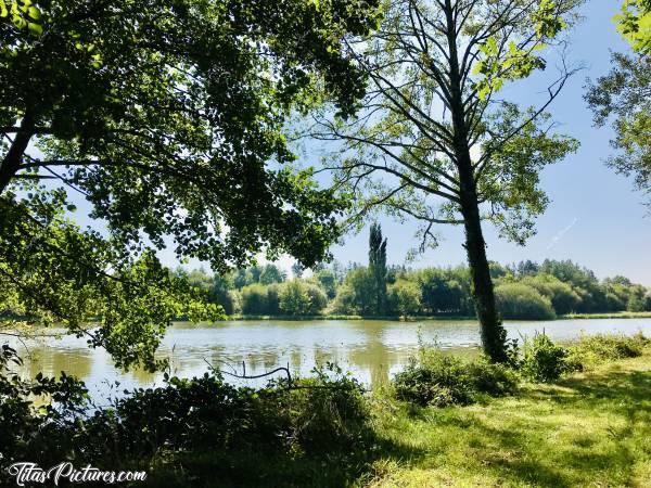 Photo Zone de Loisirs des Brosses : Bel endroit pour les fans de pêche, les randonneurs en quête de Lac où les personnes cherchant un bel endroit pour pique-niquer. 
La Zone de Loisirs des Brosses se trouve à la Merlatière sur la route de la Ferrière.c, Zone de Loisirs des Brosses, La Merlatière, Bois