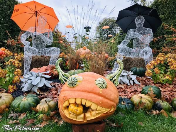 Photo Halloween : Halloween au jardin des plantes à Rouen. C’était à l’Automne 2019. J’avais oublié que j’avais fait de belles photos des décorations faites dans ce beau jardin public. Très original, vous ne trouvez pas ? 😍🥰c, Halloween, Jardin des Plantes, Rouen, Citrouilles