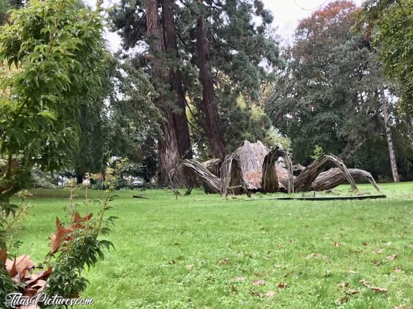 Photo Pieuvre géante : Pieuvre géante au Jardin des Plantes à Rouen. Elle est réalisée avec plusieurs vieilles planches de bois superposées.c, Pieuvre géante, Statue bois, Jardin des Plantes, Rouen