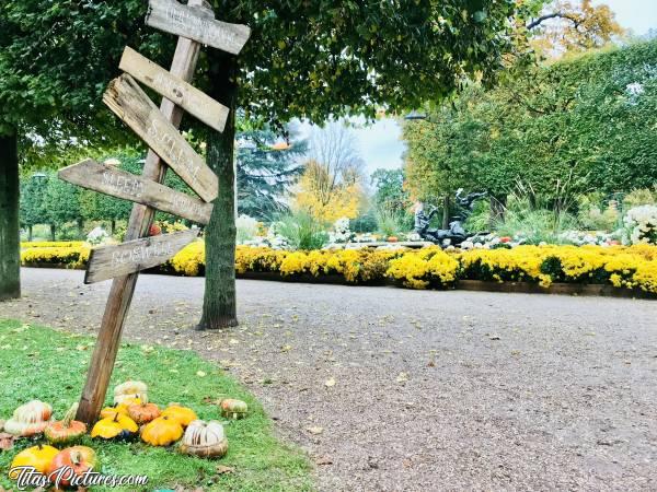 Photo Le Jardin des Plantes : Halloween au jardin des plantes à Rouen. C’était à l’Automne 2019. Alors, quelle direction prendre ? 🤔😅😍c, Jardin des Plantes, Rouen, Halloween, Pancartes en bois