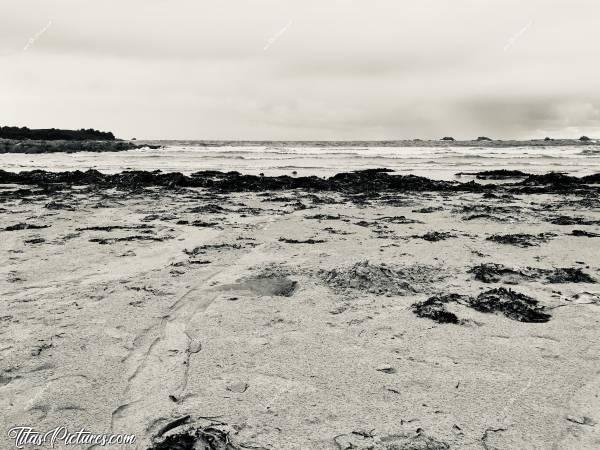 Photo Le Dossen : Plage du Dossen à Santec, avec l’île de Siec en face à gauche (ou Île de Sieck - Y’a 2 écritures). Cette île est accessible à pied à marée basse par grande marée. Mais faut pas se louper sur l’horaire pour revenir sans se mouiller 😅c, Plage du Dossen, Santec, Île de Siec, Noir et Blanc, Goëmon