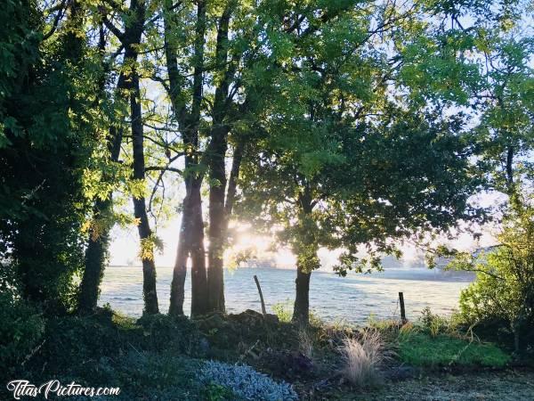 Photo Lever du jour : Beau Lever du jour sur la campagne du Boupère. Un petit peu de rosée sur l’herbe, d’où cette couleur blanchâtre 😍🥰c, Lever du jour, Campagne, champ d’herbe, arbres