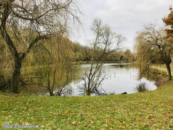 Photo Petit Parc : Vue sur ce joli petit étang dans un petit parc naturel au Pin, dans les Deux Sèvres. J’adore les Saules pleureurs 🥰c, Le Pin, Parc, étang, Saules Pleureurs