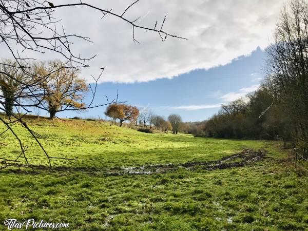 Photo Le Pin : Belle petite randonnée au petit parc du Pin dans les Deux Sèvres😍😎 Le soleil va pas tarder à disparaître par contre, vu comment cette masse de nuages avance vite 😅c, Le Pin, Deux Sèvres, prairie, boue, traces de tracteur