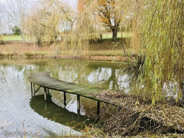 Photo Le Pin : Ah bein mince, je vais pas pouvoir aller sur la passerelle 😅😢 Bon en même temps, vu la mousse qu’il y a dessus, elle doit être très glissante 😅c, Deux Sèvres, Le Pin, Lac, Passerelle, Saules pleureur