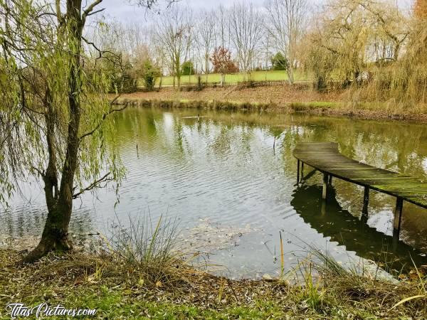 Photo Le Pin : Petite balade d’automne dans un joli petit parc au Pin, dans les Deux Sèvres. J’avais du soleil quand je suis arrivée, mais il est pas resté longtemps 😣😢c, Le Pin, parc, lac, arbres, automne, feuilles mortes