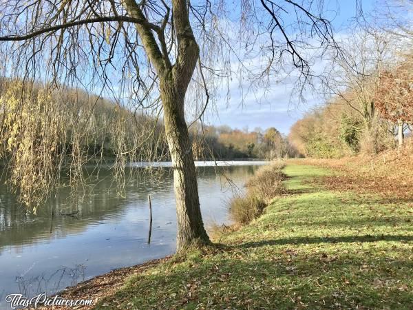 Photo Le Pin : Belle petite balade d’automne dans un joli petit parc au Pin, dans les Deux Sèvres. Ça fait du bien au moral ce soleil 😍 Mais il ne va pas rester longtemps j’ai bien peur 😣😔c, Le Pin, parc, lac, arbres, automne, feuilles mortes, saule pleureur