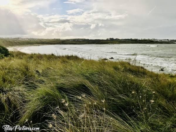 Photo Plougoulm : Belle petite randonnée en bord de mer à Plougoulm. Beaucoup de vent, ciel menaçant, mais qu’est-ce que ça fait du bien 👍🏻😍c, Plougoulm, mer, dune, herbes sauvages