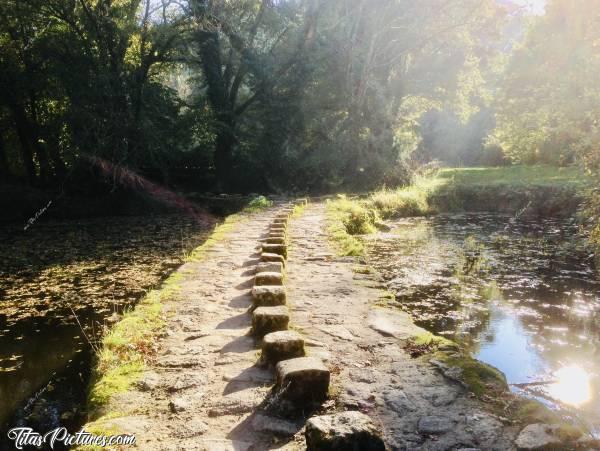 Photo Le Parc de la Barbinière : Le Parc de la Barbinière à St Laurent-sur-Sèvre. Ces pierres servent à pouvoir passer la rivière, même si le niveau de l’eau est élevé. C’était pas le cas ce jour-là 😅c, Le Parc de la Barbinière, St Laurent-sur-Sèvre, pierres, pont