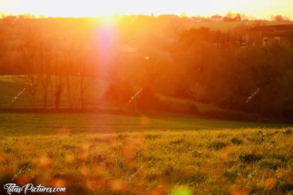 Photo Coucher de Soleil : Coucher de Soleil sur la Campagne du Boupère. J’aime beaucoup ces couleurs qui réchauffent 😍🥰c, Coucher de Soleil, Vendée, Le Boupère, Campagne, Prairie