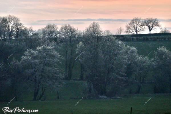 Photo Coucher de soleil : Joli coucher de soleil sur la campagne vendéenne en cette fin de journée glaciale 🥶 Ce jour-là, les branches des arbres n’avaient pas dégivré de la journée 😣😅 D’où ce beau dégradé de couleurs 😍🥰c, Coucher de soleil, Campagne, arbres givrés