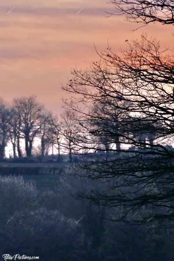 Photo Coucher de soleil : Joli coucher de soleil sur la campagne vendéenne en cette fin de journée glaciale 🥶 Ce jour-là, les branches des arbres n’avaient pas dégivré de la journée 😣😅 D’où ce beau dégradé de couleurs 😍🥰c, Coucher de soleil, Campagne, arbres givrés