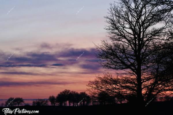 Photo Coucher de soleil : Beau dégradé de couleurs dans ce Coucher de Soleil sur la Campagne vendéenne 😍🥰 Qu’en pensez-vous?c, Coucher de soleil, Campagne, Arbres