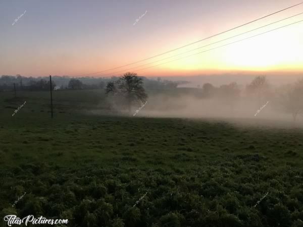 Photo Coucher de soleil : Coucher de soleil sur la campagne vendéenne, avec un épais brouillard qui arrive.. Trop beau je trouve 😍🥰 (sauf les fils électriques 😅). 
À cet endroit, je voyais le brouillard s’avancer rapidement. C’était magique 🥰 Comme dans un film de Stephen King 😅😍c, Coucher de soleil, Campagne, Arbres, champ d’herbe