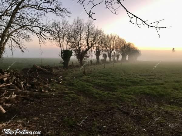 Photo Coucher de soleil : Coucher de soleil sur la campagne vendéenne, avec un épais brouillard qui arrive.. Trop beau je trouve 😍🥰c, Coucher de soleil, Campagne, Têtards, Arbres, bûches, champ d’herbe