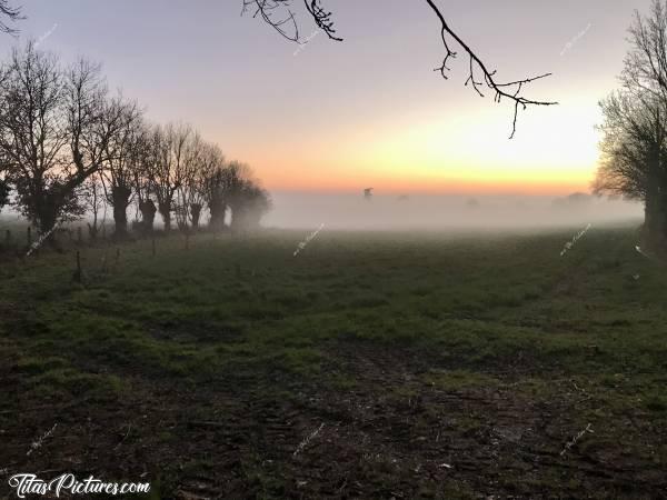 Photo Coucher de soleil : Coucher de soleil sur la campagne vendéenne, avec un épais brouillard qui arrive.. Trop beau je trouve 😍🥰c, Coucher de soleil, Campagne, Arbres, champ d’herbe