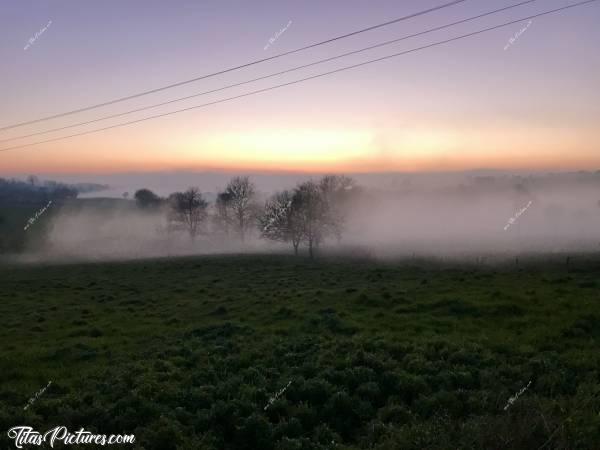 Photo Coucher de soleil : Coucher de soleil sur la campagne vendéenne, avec un épais brouillard qui arrive.. Trop beau je trouve 😍🥰 (sauf les fils électriques 😅). 
À cet endroit, je voyais le brouillard s’avancer rapidement. C’était magique 🥰 Comme dans un film de Stephen King 😅😍c, Coucher de soleil, Campagne, Arbres, champ d’herbe