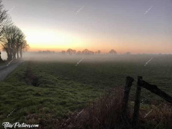 Photo Coucher de soleil : Coucher de soleil sur la campagne vendéenne, avec un épais brouillard qui arrive.. Trop beau je trouve 😍🥰c, Coucher de soleil, Campagne, Arbres, champ d’herbe