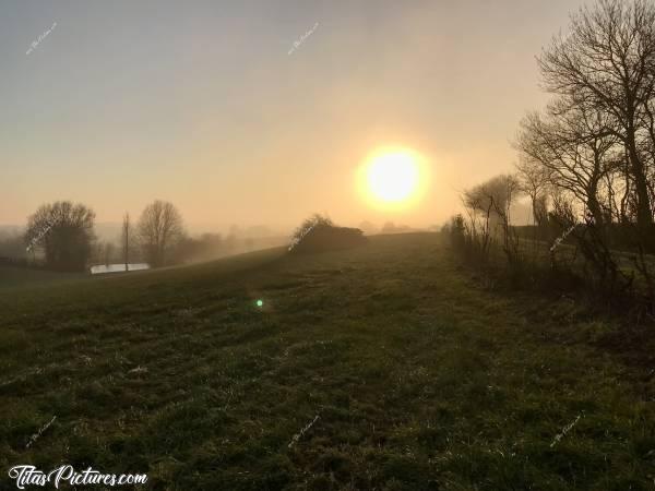 Photo Coucher de soleil : Coucher de soleil sur la Campagne vendéenne. Le brouillard commence à se lever, d’où ce léger voile sur le Soleil. 
Faisait vraiment pas chaud pour marcher 😅🥶c, Coucher de soleil , Campagne, champ d’herbe