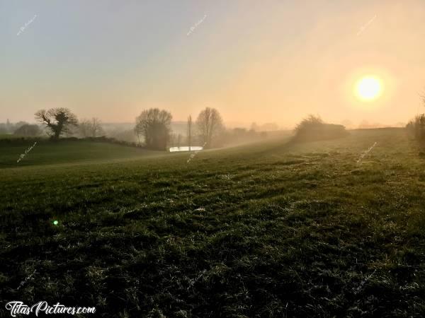 Photo Coucher de soleil : Coucher de soleil sur la Campagne vendéenne. Le brouillard commence à se lever, d’où ce léger voile sur le Soleil. 
Faisait vraiment pas chaud pour marcher 😅🥶c, Coucher de soleil , Campagne, champ d’herbe