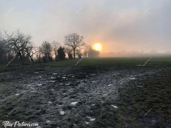 Photo Coucher de soleil : Coucher de soleil sur un champ d’herbe, bien abîmé par les vaches 😅
Le brouillard arrive très vite avec le vent 😧 Bientôt, je ne verrais plus le soleil et il fait vraiment très froid 🥶 Faut que je presse le pas pour rentrer au chaud 😅c, Coucher de soleil, champ de vaches, boue, brouillard