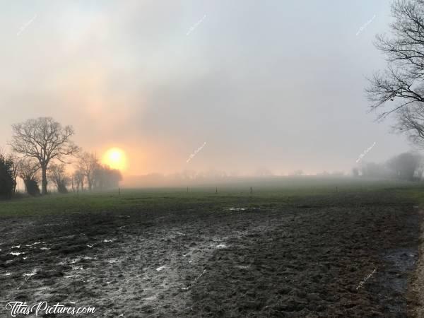 Photo Coucher de soleil : Coucher de soleil sur un champ d’herbe, bien abîmé par les vaches 😅
La vague de brouillard arrive très vite avec le vent 😧 Bientôt, je ne verrais plus le soleil et il fait vraiment très froid 🥶 Faut que je presse le pas pour rentrer au chaud 😅c, Coucher de soleil, champ de vaches, boue, brouillard