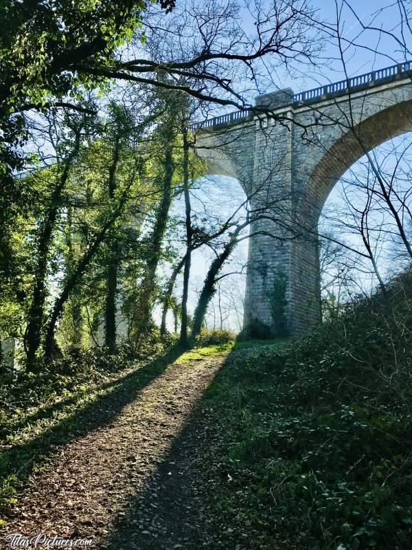 Photo Le Parc de la Barbinière : Jeu d’Ombres et de Lumières sur le Viaduc au Parc de la Barbinière, à St-Laurent-sur-Sèvre 😍🥰c, Parc de la Barbinière, St-Laurent-sur-Sèvre, Viaduc