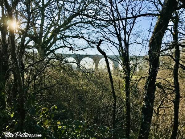 Photo Le Parc de la Barbinière : Belle randonnée au parc de la Barbinière en cette journée ensoleillée 😎😍c, Parc de la Barbinière, St-Laurent-sur-Sèvre, Viaduc