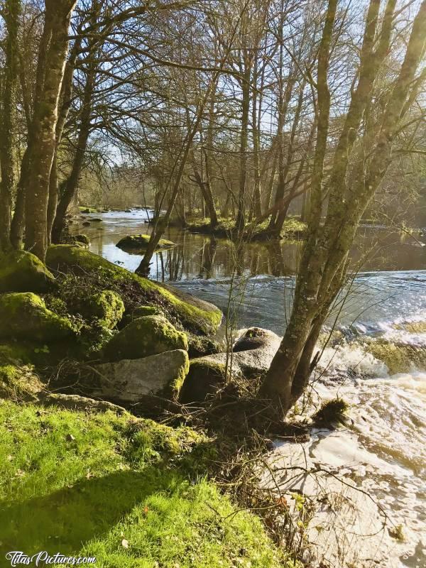 Photo Le Parc de la Barbinière : Belle petite chute d’eau sur la Sèvre Nantaise, au Parc de la Barbinière, à St-Laurent-sur-Sèvre 😍🥰c, Parc de la Barbinière, St-Laurent-sur-Sèvre